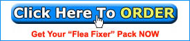 Get Flea Fixer Now