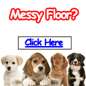 Housetraining Your Dog