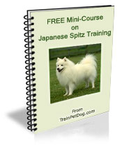 japanese spitz course training