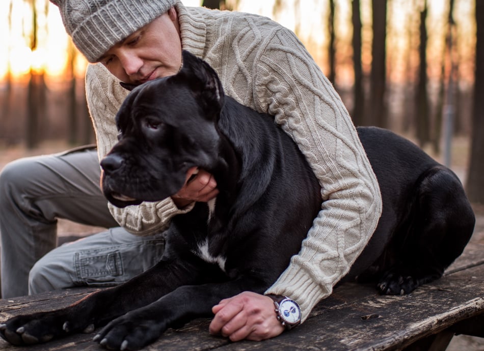 Dog with lovers