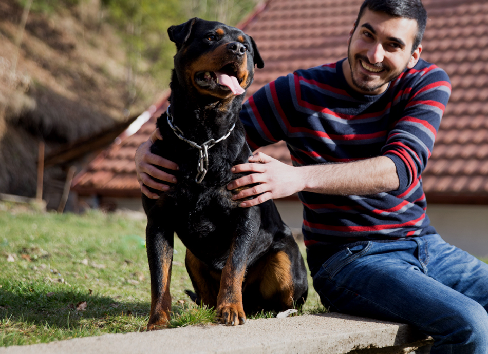 Dog with lovers